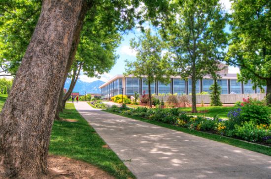 Picture of Physician Assistant