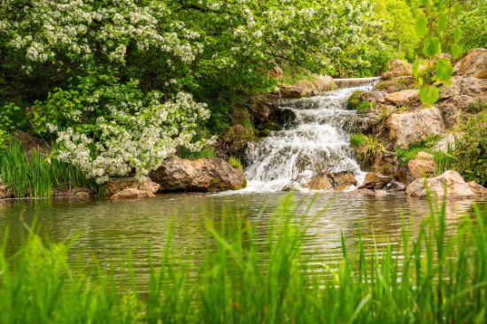 Picture of Medical Assistant