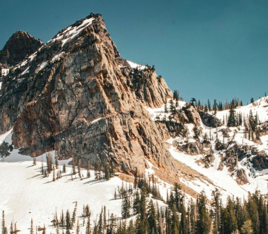 Picture of Fellows Day Registration